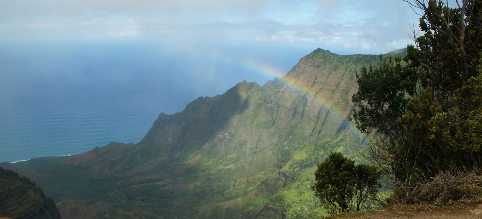 hawaii rainbow