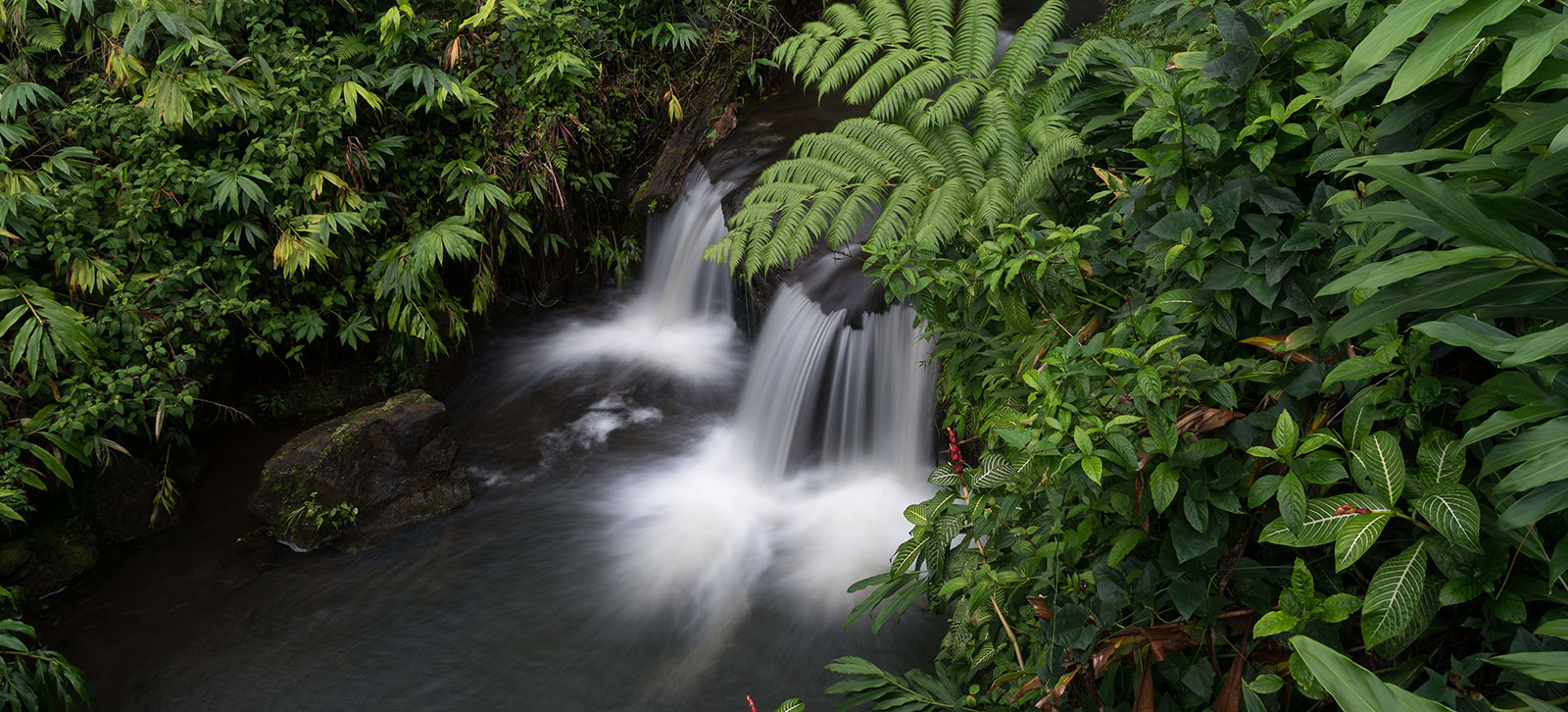 waterfall Hawaii