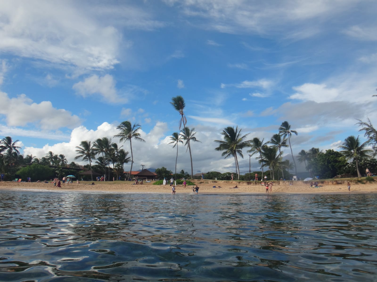 Hawaii Beach