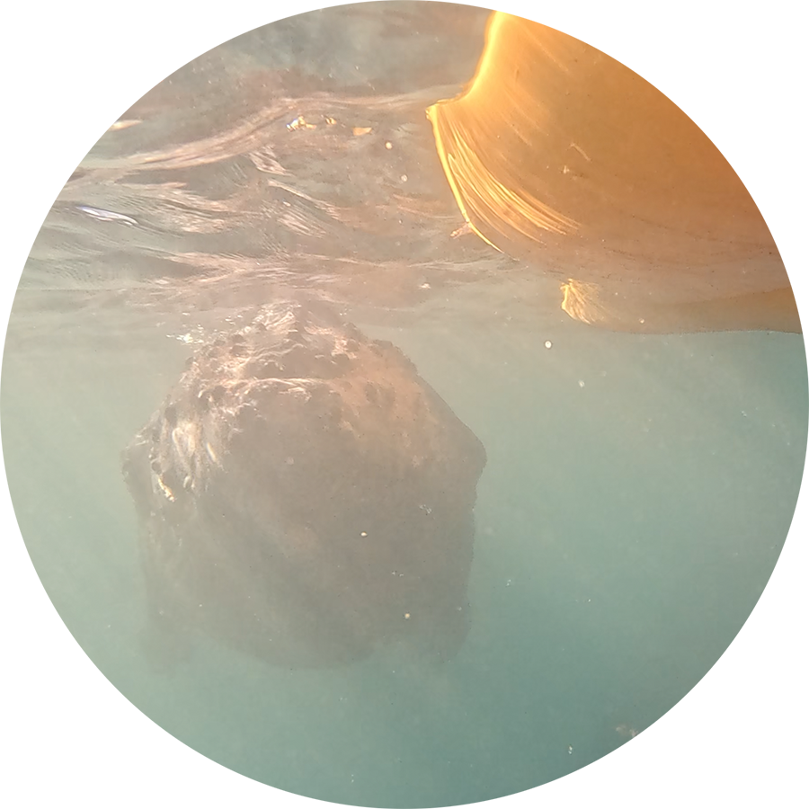 Kayak-Whales_900